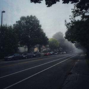 美国摘花XXXX视频
