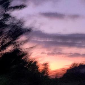 美国摘花XXXX视频
