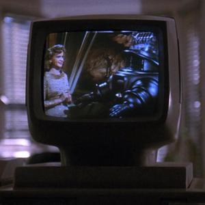 美国摘花XXXX视频
