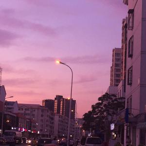 美国摘花XXXX视频
